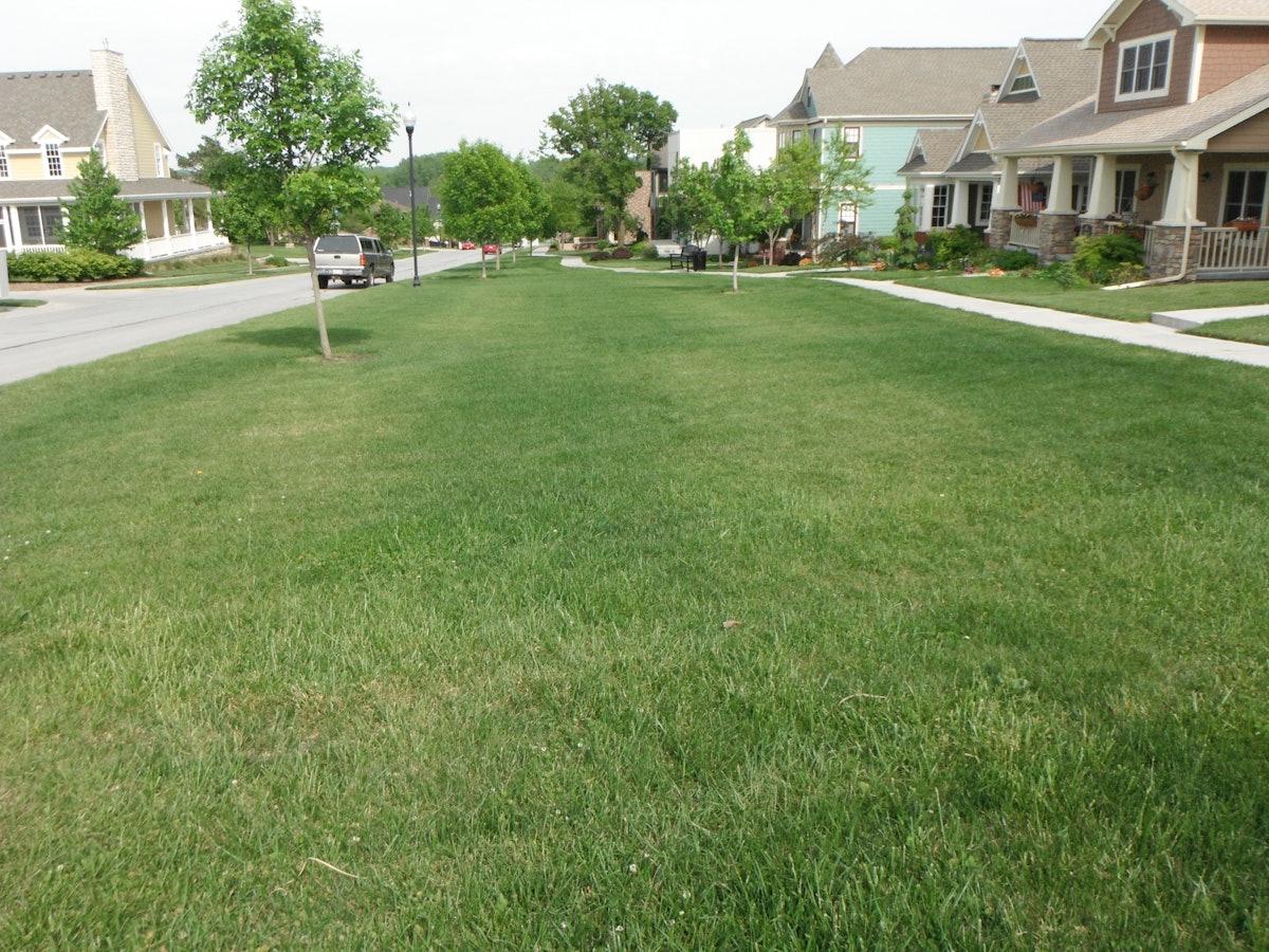 Five potential pre-emergence herbicide mistakes | Total ...