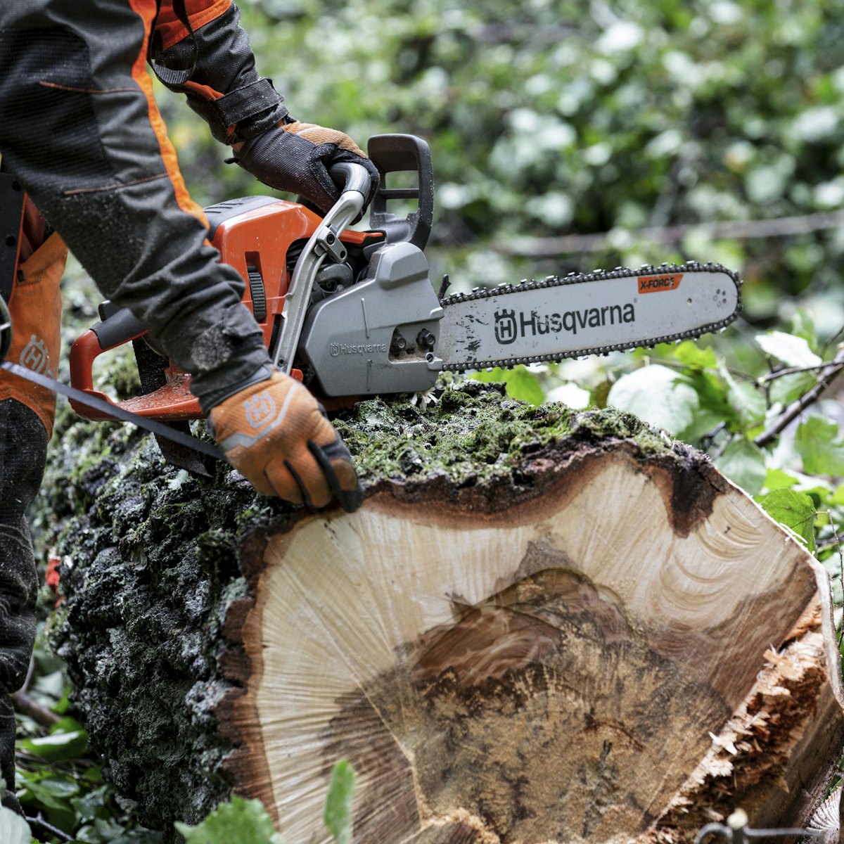 Husqvarna releases new chain saws and arborist equipment Total