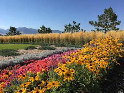 Photo: Environmental Designs