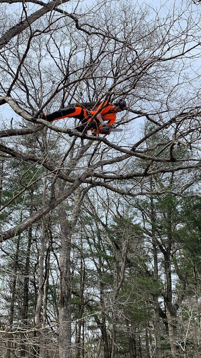 Krista Strating with Husqvarna’s H-Team demonstrates the T525 in the tree canopy. Photo: Beth Hyatt