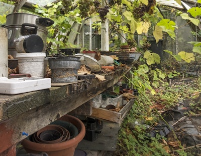 Cluttered potting bench