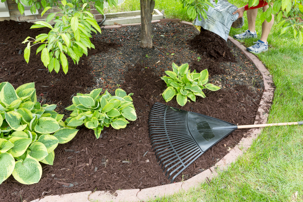 mulching-landscape-bed