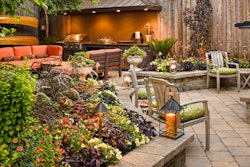 outdoor-landscape-texture-proven-winners