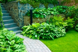 shutterstock_1044772639