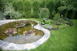 backyard-pond
