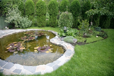 Backyard pond
