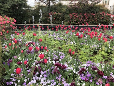 Photo: Jill Odom/Total Landscape Care