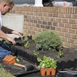 Man planting flowers in garden,