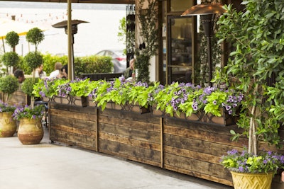 Photo: Courtesy of Proven Winners – www.provenwinners.com