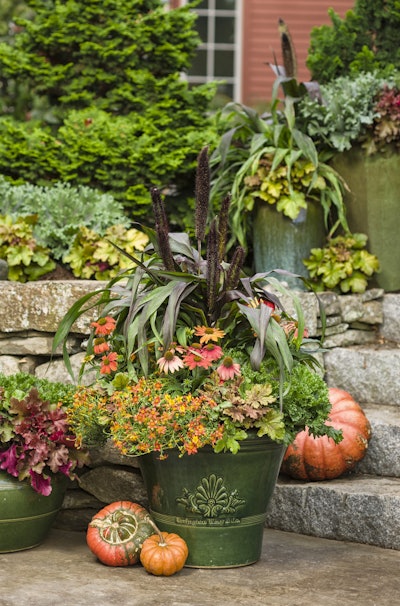 Photo: Courtesy of Proven Winners – www.provenwinners.com