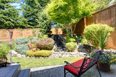 Ornamental trees in a landscaped backyard