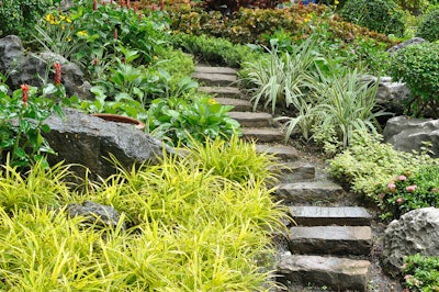 Landscaping on a slope with stone stairs and plants