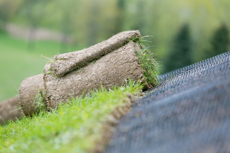 How To Prevent Soil Erosion In Customers Landscapes Total Landscape Care