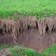 soil-erosion-hill