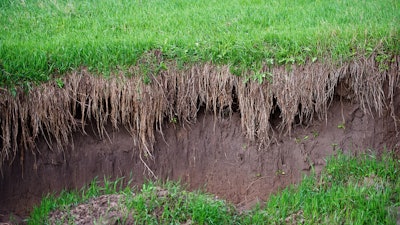 Shutterstock 451995559