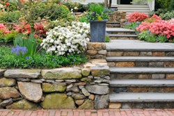 retaining-wall-flowers