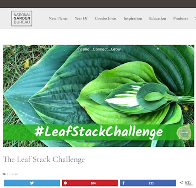 Ngb Website Blog 600 Shares