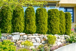 shutterstock_270815186