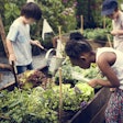 kids-teaching-garden