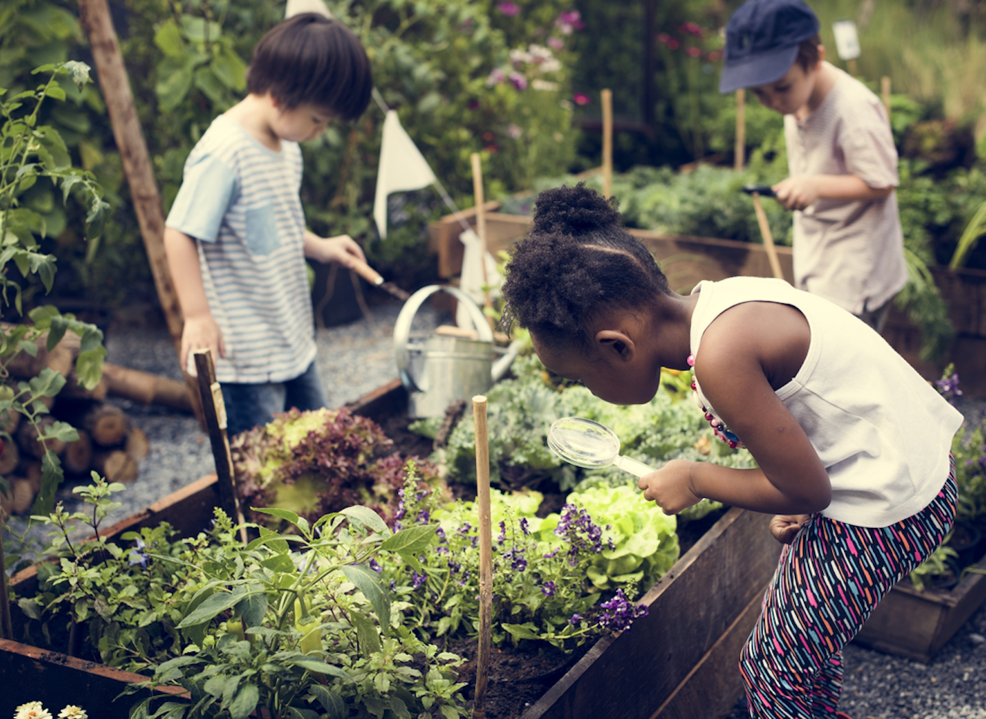 Bringing the classroom outdoors Benefits of creating a teaching garden