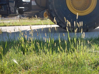 Photo: Matt Lavin/Flickr