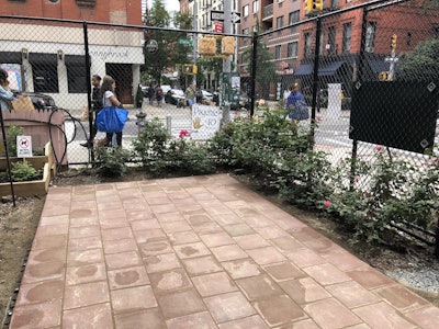 Photo: Project EverGreen