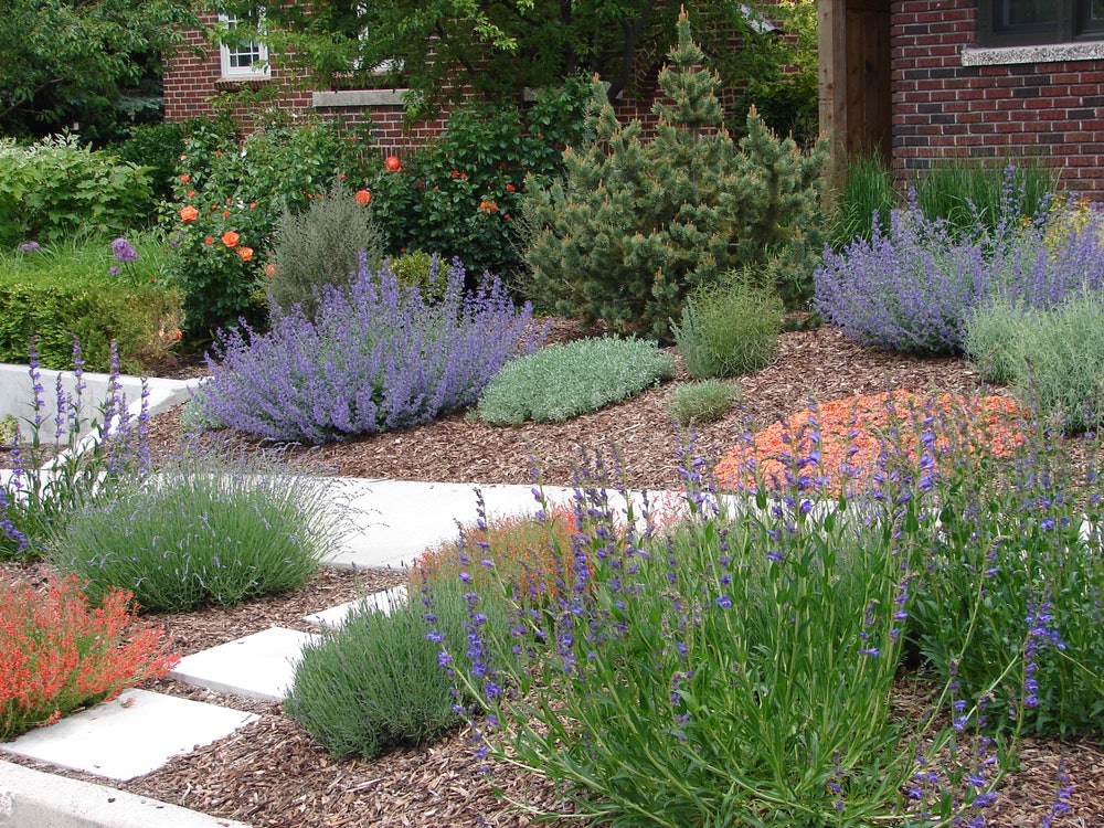 Xeriscape Landscaping Guide For Water, What Is Xeriscape Landscaping