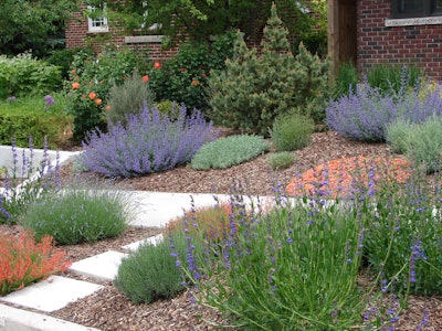 Landscape design using xeriscape plants and mulch beside a brick building