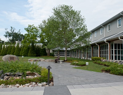 Gettysburg Museum & Visitors Center: This 40 ft. tall October Glory Maple, which is one of the project focal points, was intended to be what battlefield guides term “a symbolic witness tree,” meaning that they are now mature trees who likely witnessed the battle. Photo: Ruppert Landscape