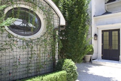 Ivy-wall-courtyard