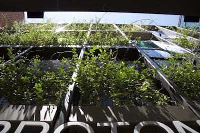 Blackjack recently installed a live wall outside the UAB Proton Center. Photo: Beth Hyatt/Total Landscape Care