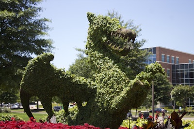 The University of Alabama at Birmingham’s dragon topiary stands tall in the middle of the school’s entryway flower bed. Photo: Beth Hyatt/Total Landscape Care