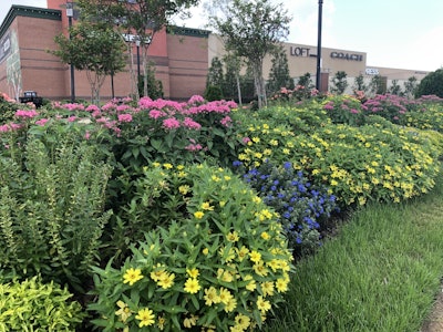 Photo: Jill Odom/Total Landscape Care