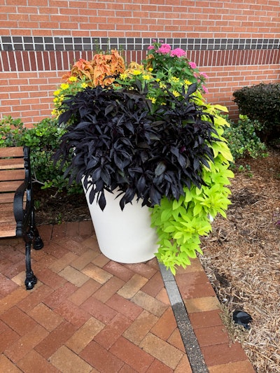 Photo: Jill Odom/Total Landscape Care