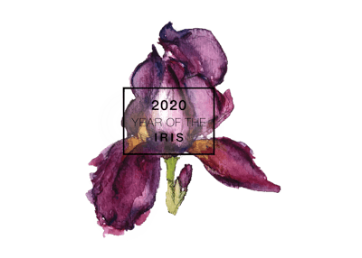 Iris Lockup Ngb 2020 Final