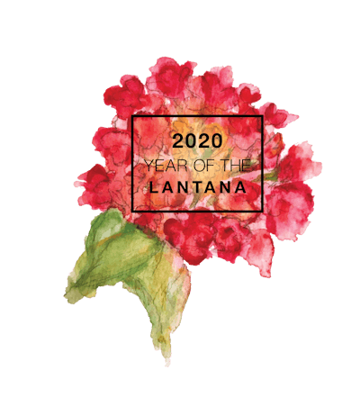 Lantana Lockup Ngb 2020 Final