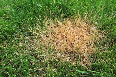 Shutterstock 356500433