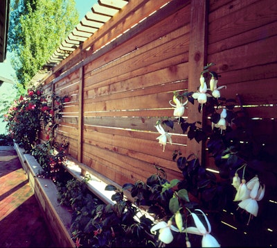 Engman Knottyrustic Retouch 6