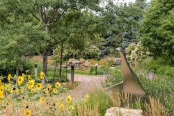Healing Garden Focus on Sculpture 2018