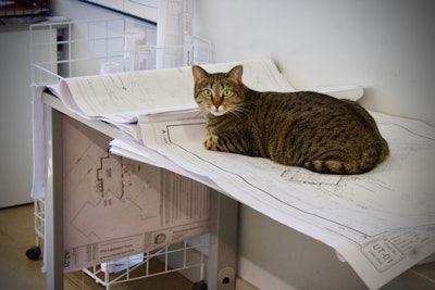 To help create a more relaxing and laid back company atmosphere, Lambert’s has a few fluffy friends on hand. Photo: Beth Hyatt/Total Landscape Care