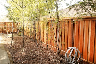 Photo: Barbara Bourne