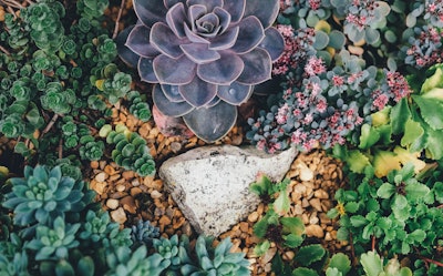 Photo by Annie Spratt on Unsplash
