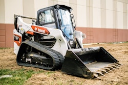 bobcat1