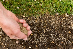 spreading-grass-seed-by-hand