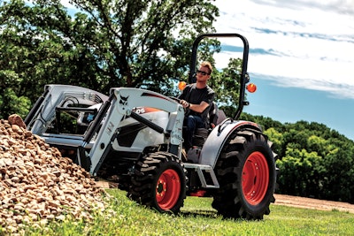 Photo: Bobcat