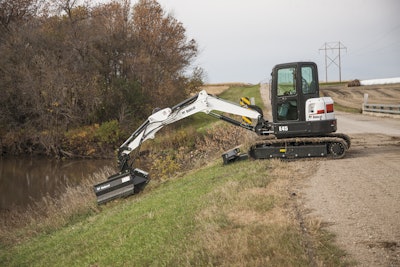 Photo: Bobcat