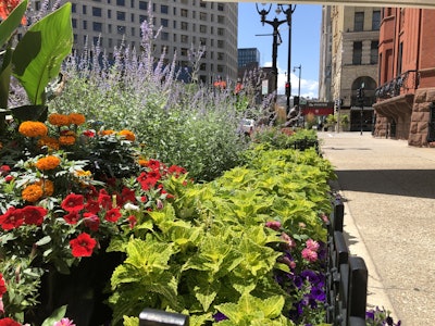 KEI ensures that numerous flowerbeds are well cared for downtown. Photo: Jill Odom/Total Landscape Care
