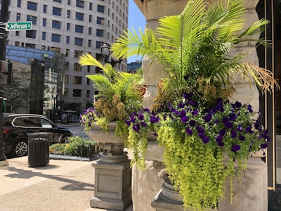 Photo: Jill Odom/Total Landscape Care