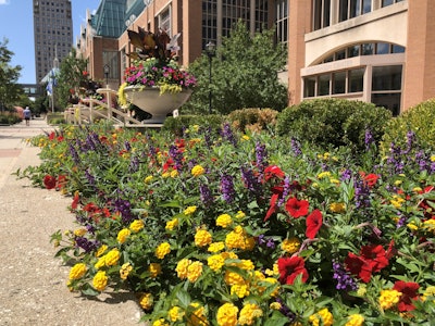 Photo: Jill Odom/Total Landscape Care