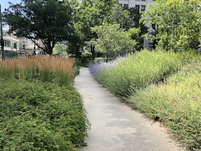 KEI is responsible for a number of high-profile properties and ensuring they look their best. Photo: Jill Odom/Total Landscape Care